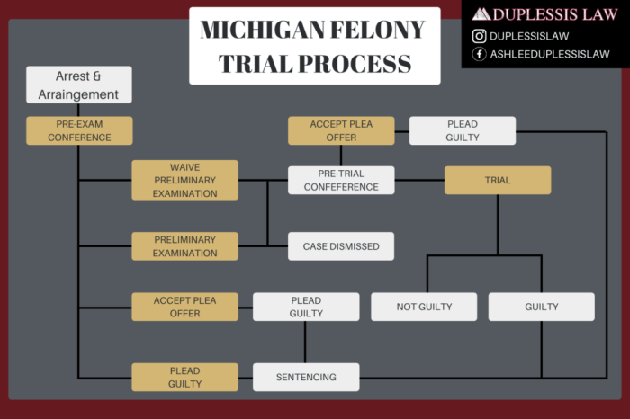Michigan Felony Trial Process - Detroit Legal Defense