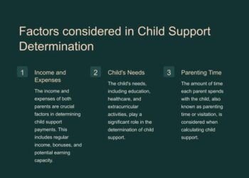 Understanding-Child-Support.pptx